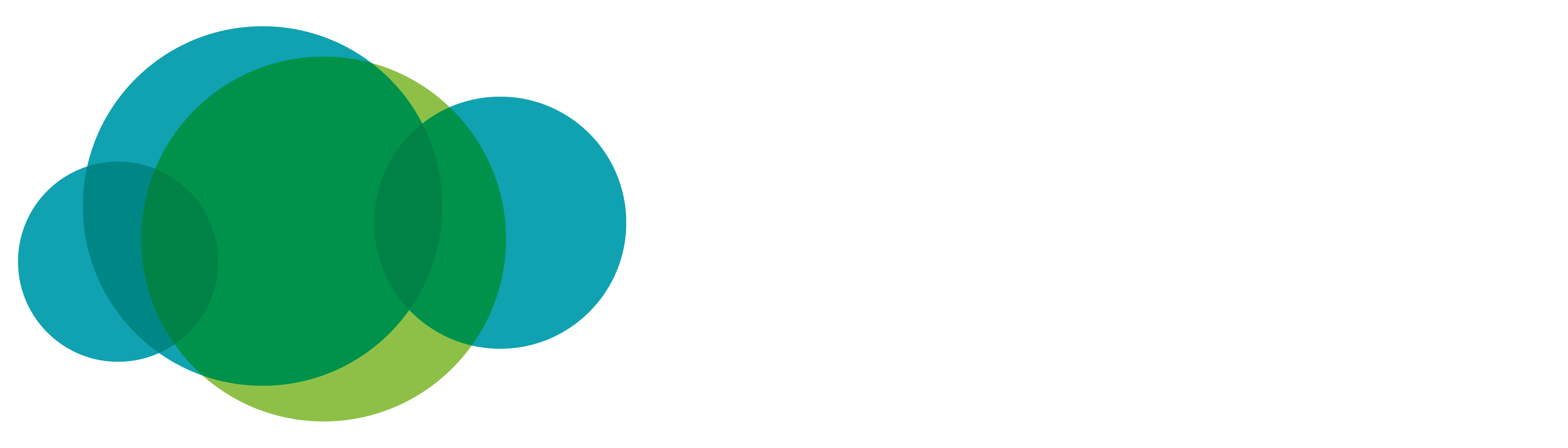 Oman Datapark Logo
